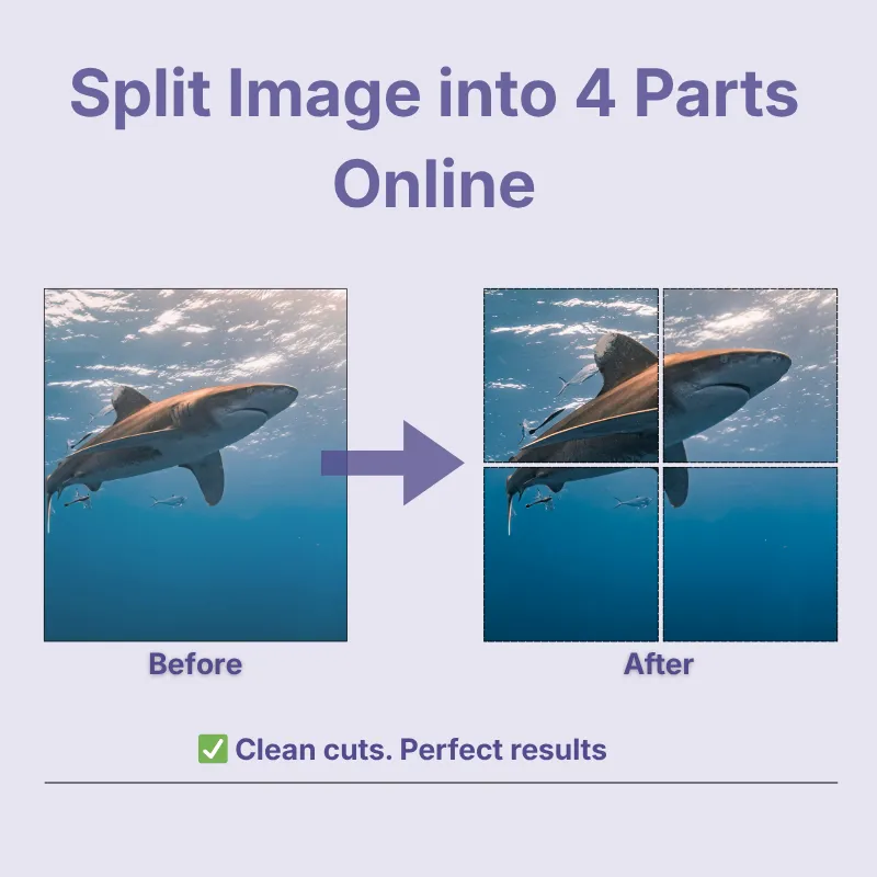Split Image into 4 Parts